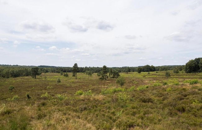 Detached Bungalow With Wifi, Located at Park De Veluwe - Foto 36