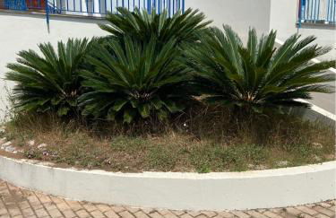 Residenza Le Spiagge - Foto 38