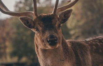 Maraias - Luxury Suites & Apartments - Foto 23