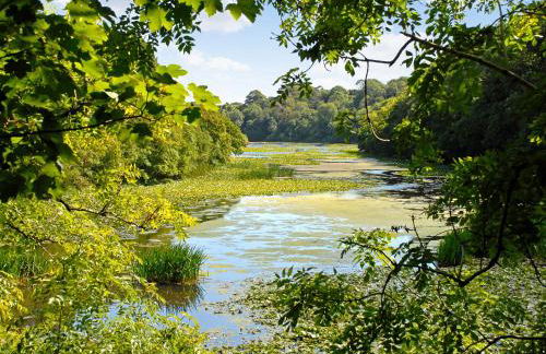 Ash Tree Cottage - Foto 35