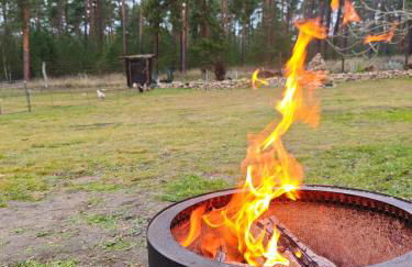 Tiny House am Waldrand - Foto 18