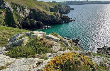 Les hortensias de papy - Foto 19