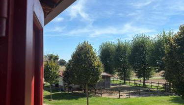 Agriturismo Varana - Foto 5, Garden view