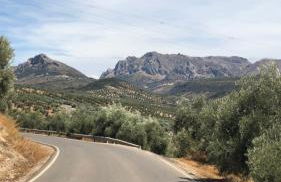 Large 1 bed apartment in the beautiful countryside - Foto 16