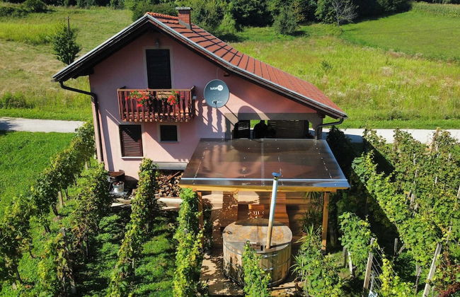 Holiday Home Vesna with Sauna - Foto 36