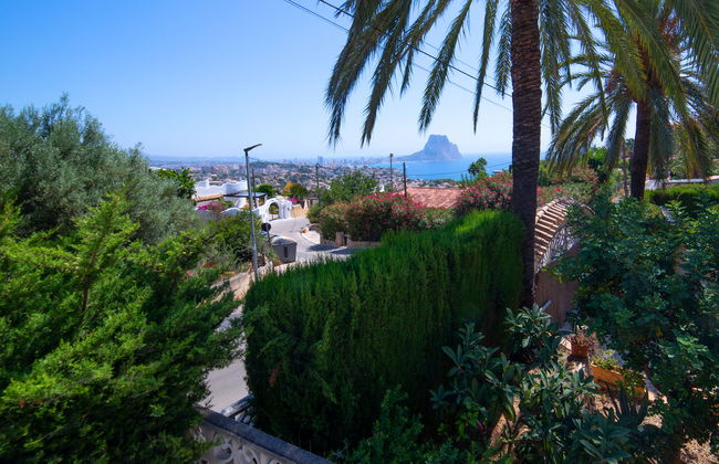 Estrella Azul - Foto 37