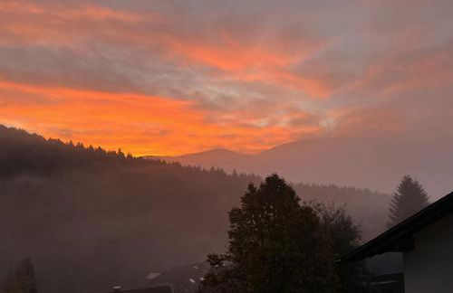 Black Forest Brandenkopfblick - Foto 10