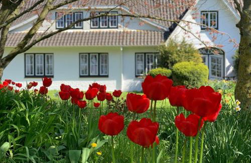 Landhaus Haack - Foto 11