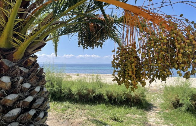 Stunning Beachfront Villa for Rent - Foto 22