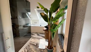 B&B’s im Aischgrund - Foto 4