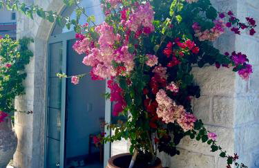 Villa Eirini - Peace and tranquility - a hideaway - Foto 48