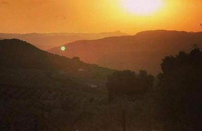 La Casita, Zagra - Foto 13