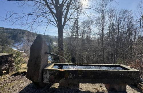 Wagnerstal Hunting Lodge - Foto 6