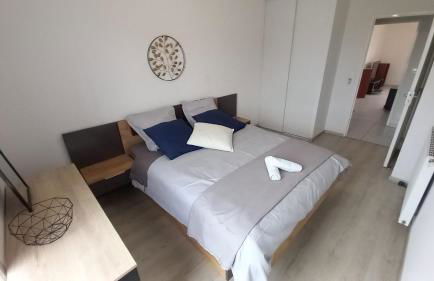 Le Barbusse LYON-T3-Garage-Terrasse-3 lits-Home Cinema - Foto 12