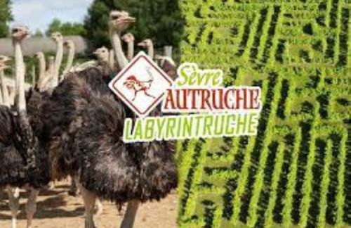 Gîte de l'Ivronnière - Foto 21