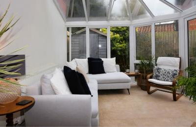 Roots & Wings - Foto 3