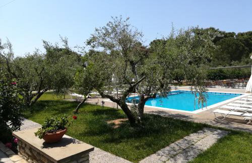 Asfendamos - Foto 10