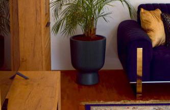 Boutique Apartment LIMONIA - Historic Heart of Ulm - Foto 6