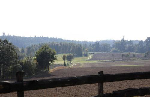 Widokówka Kaszuby - Foto 17