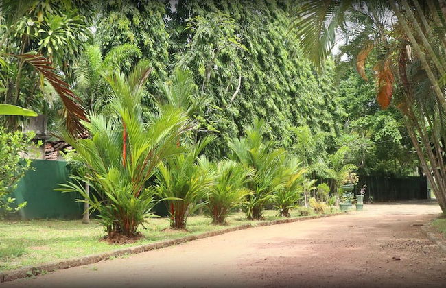 Villa Sunshine Hotel - Foto 7