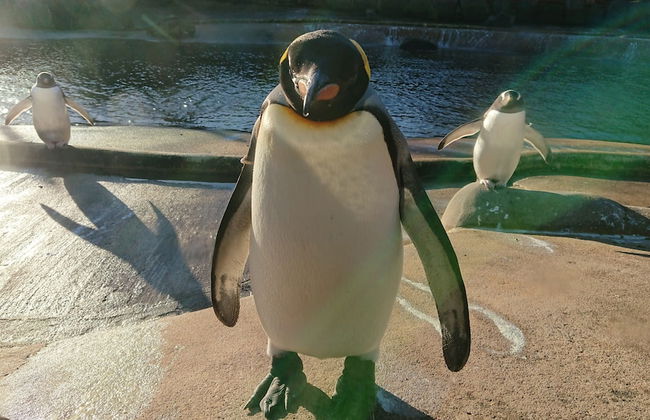 Violet Bank Apartment New Town - Foto 22