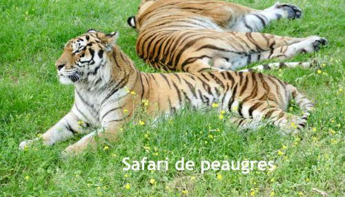 GITES DES ECOLES - Foto 5