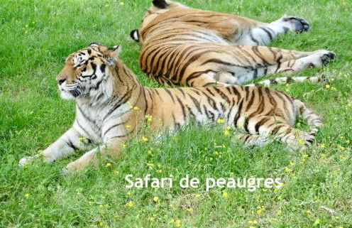 GITES DES ECOLES - Foto 5