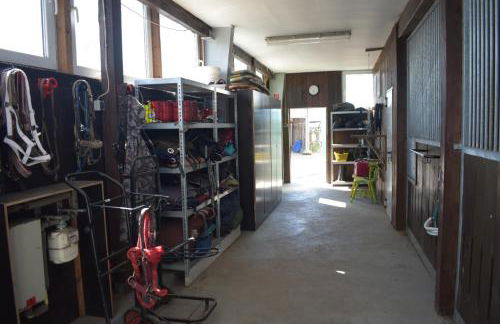 Idylle auf dem Reiterhof bei Husum - Foto 21