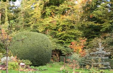 Ferienwohnung am Berg - Foto 14