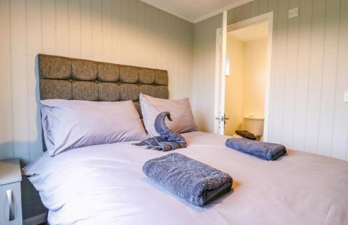 Kingfisher - Foto 19