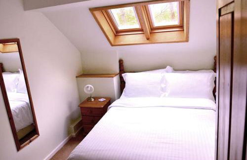 Hafannedd Cottage - riverside views - Photo 10