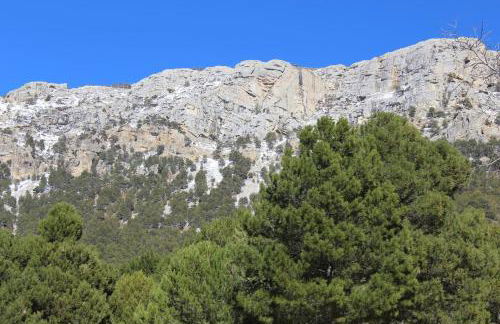 El Almendro de Fuentes Nuevas - Foto 40
