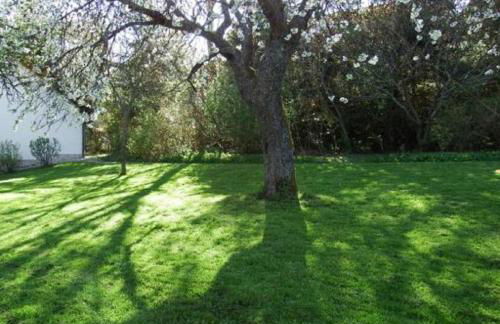 Ferienhaus Klingenbrunn - Foto 46