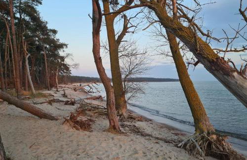 Ferienhaus zum Kranichblick - Foto 31