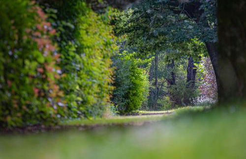 Residence RADIANA - Foto 23