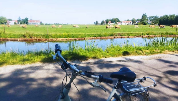 Hop on a bike from Amsterdam