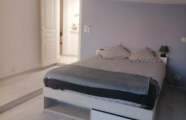 Gîtes aux cœurs des vignes a 10mm du zoo de beauval 3 étoiles - Foto 25