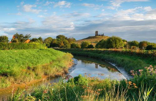 Dragonfly Two - Photo 10