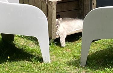 Bel appartement avec jardin - Foto 28