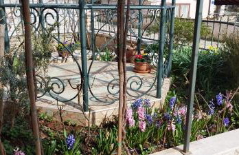 SUMMER TIME - Photo 38