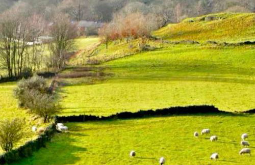 Peak Cottage - Foto 17