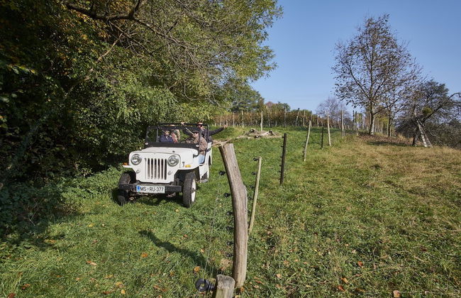 Holiday House Podhamer Boris - Foto 52