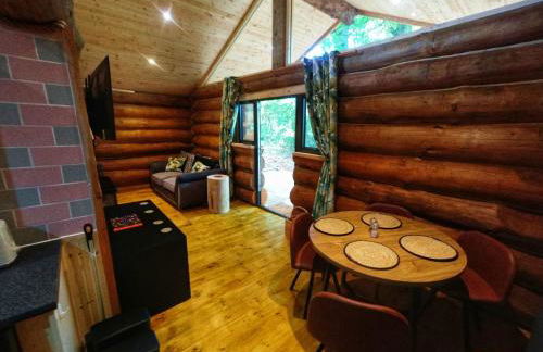 Secluded Hand Crafted Log Cabin - Foto 15