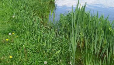 Familienhotel Brandtsheide - Foto 2