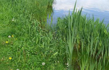 Familienhotel Brandtsheide - Foto 2