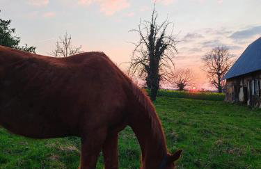 Le Gite du Ranch Normand - Photo 18