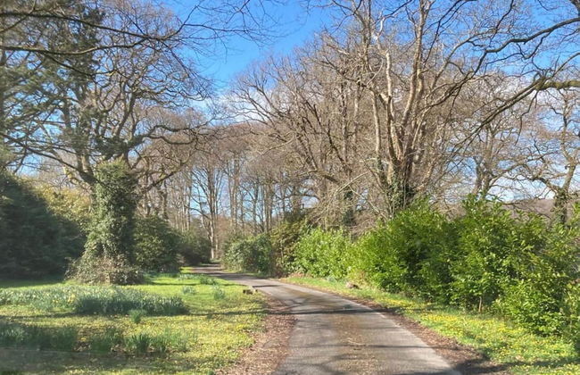 Holiday Home in Ceredigion Near Seashore - Foto 38