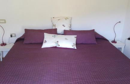 Agriturismo il Mulino - Foto 14