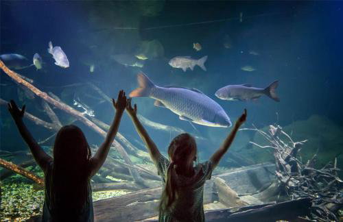 Guest house Studio apartman Marina - free parking, pet friendly - Foto 52