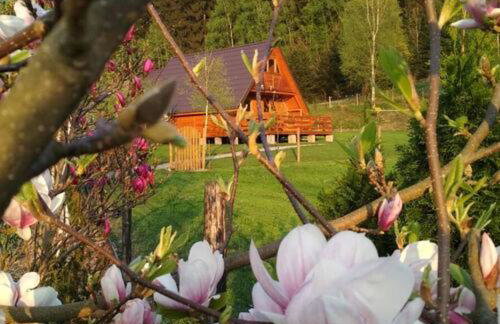 Domki u Oli - strefa relaksu z balią - Foto 23